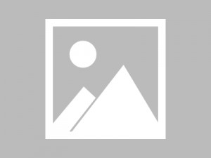 杭州临平区塘栖镇附近夜场招聘商务礼仪,(不用订房任务)